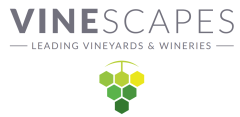 VINESCAPES LIMITED