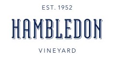 Hambledon Vineyard