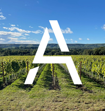 Artelium Wine Estate